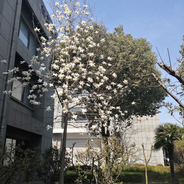 �S�^(q��)�h(hu��n)��